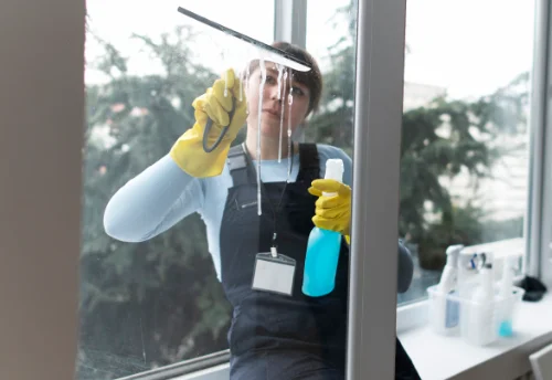 Nettoyage de vitres intérieures et extérieures à Villognon